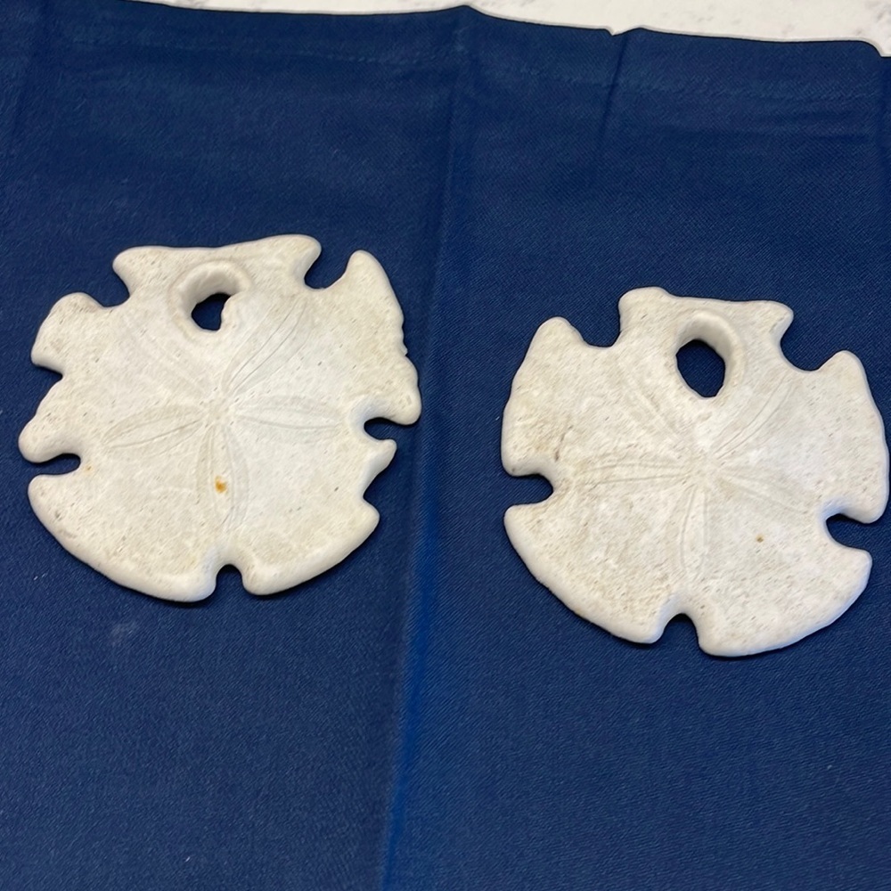 Shells Mexican arrow head beach sand dollars